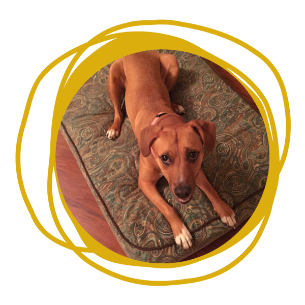 Harry Stroup | Huntingdon, PA