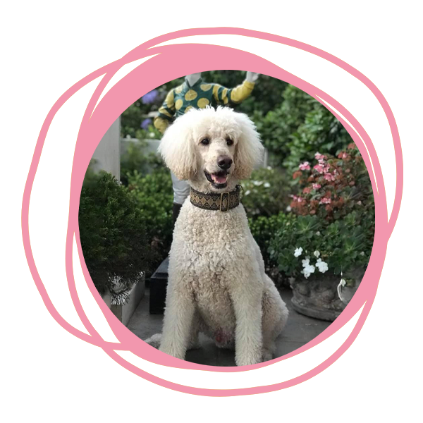 Joanna Clark | Palo Alto, CA