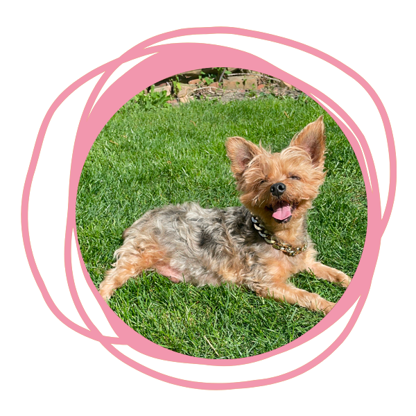 Lauren Ramsey | Chicago, IL