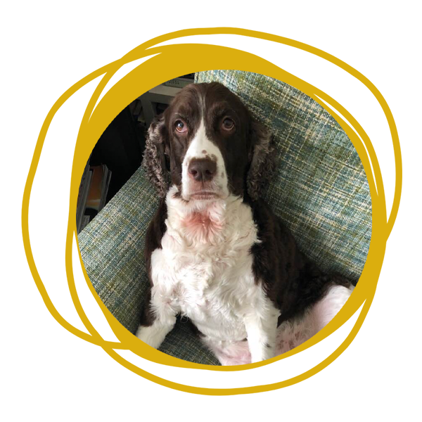 LISA KAHN - ALLEN | NAPLES, FL