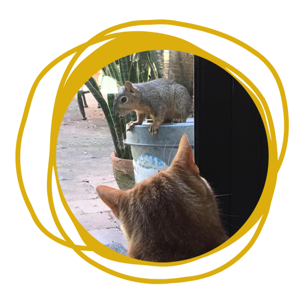 Michael Golden | Carmine, TX