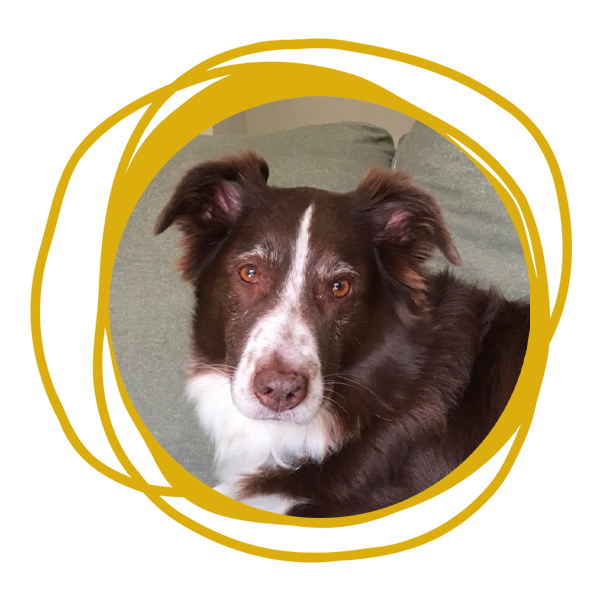 Stef Tait | Bristow, VA