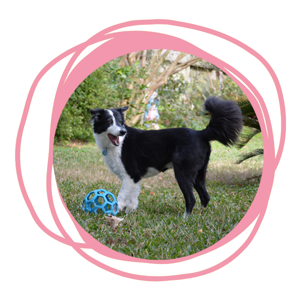 Tricia Ramsey | Friendswood, TX